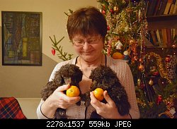 Нажмите на изображение для увеличения
Название: Untitled-2.jpg
Просмотров: 462
Размер:	559.0 Кб
ID:	80980