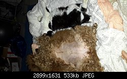 Нажмите на изображение для увеличения
Название: 20160220_040117.jpg
Просмотров: 237
Размер:	532.8 Кб
ID:	81511