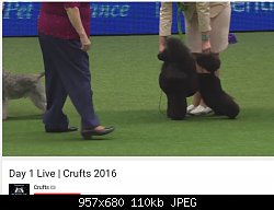 Нажмите на изображение для увеличения
Название: Screenshot_1.jpg
Просмотров: 322
Размер:	110.2 Кб
ID:	81727