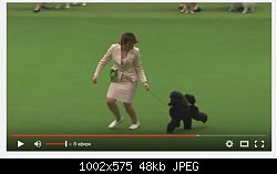 Нажмите на изображение для увеличения
Название: Screenshot_3.jpg
Просмотров: 351
Размер:	47.7 Кб
ID:	81729