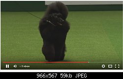 Нажмите на изображение для увеличения
Название: Screenshot_4.jpg
Просмотров: 307
Размер:	59.0 Кб
ID:	81730