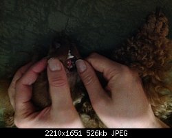 Нажмите на изображение для увеличения
Название: image.jpg
Просмотров: 292
Размер:	525.8 Кб
ID:	82315