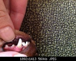Нажмите на изображение для увеличения
Название: image.jpg
Просмотров: 238
Размер:	560.1 Кб
ID:	82320