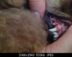 Нажмите на изображение для увеличения
Название: image.jpg
Просмотров: 237
Размер:	532.7 Кб
ID:	82321