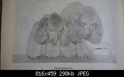 Нажмите на изображение для увеличения
Название: 2016-06-21 15.37.59.jpg
Просмотров: 281
Размер:	297.8 Кб
ID:	83191