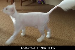 Нажмите на изображение для увеличения
Название: 2016-08-07 22.12.46.jpg
Просмотров: 778
Размер:	127.3 Кб
ID:	83627