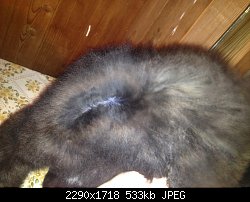 Нажмите на изображение для увеличения
Название: image.jpg
Просмотров: 185
Размер:	533.3 Кб
ID:	83658