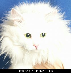 Нажмите на изображение для увеличения
Название: 2016-08-24 15.00.27.jpg
Просмотров: 181
Размер:	113.5 Кб
ID:	83718