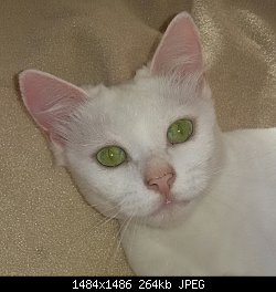 Нажмите на изображение для увеличения
Название: 2016-08-24 16.46.34.jpg
Просмотров: 138
Размер:	264.1 Кб
ID:	83719