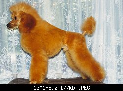 Нажмите на изображение для увеличения
Название: Scan100031.jpg
Просмотров: 255
Размер:	176.6 Кб
ID:	83725