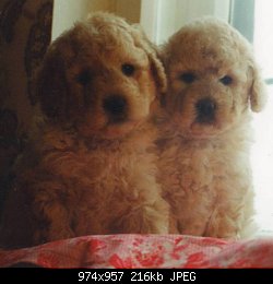 Нажмите на изображение для увеличения
Название: Scan10014.jpg
Просмотров: 246
Размер:	216.2 Кб
ID:	83726