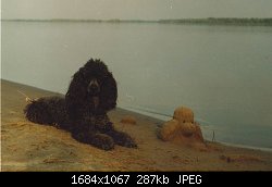 Нажмите на изображение для увеличения
Название: Scan100151.jpg
Просмотров: 156
Размер:	287.4 Кб
ID:	83735