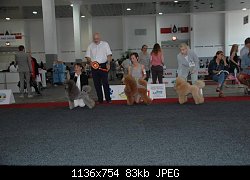 Нажмите на изображение для увеличения
Название: ЧЕ-2016, расстановка на ЛК.jpg
Просмотров: 206
Размер:	83.4 Кб
ID:	83754