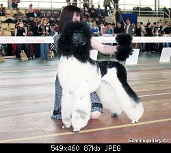 Нажмите на изображение для увеличения
Название: image.jpeg
Просмотров: 266
Размер:	86.7 Кб
ID:	84658