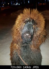 Нажмите на изображение для увеличения
Название: image.jpeg
Просмотров: 206
Размер:	148.7 Кб
ID:	85256