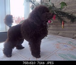 Нажмите на изображение для увеличения
Название: 20.01.17-4м.jpg
Просмотров: 177
Размер:	71.0 Кб
ID:	85854