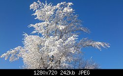 Нажмите на изображение для увеличения
Название: image-0-02-05-44803e8535e5dd373dca0428d96a1879eca038afd45a20c48126fec53a400a1e-V.jpg
Просмотров: 97
Размер:	242.3 Кб
ID:	86039