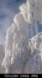 Нажмите на изображение для увеличения
Название: image-0-02-05-ecbef9cd36dda6b9f63d349fb8c843acb164a1c75601384186651229953b6180-V.jpg
Просмотров: 108
Размер:	230.2 Кб
ID:	86040