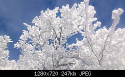 Нажмите на изображение для увеличения
Название: image-0-02-05-842433bf02668a012bffbd7d632b411bd1dbe9ff56d4c4853a44262888d2fd79-V.jpg
Просмотров: 96
Размер:	247.3 Кб
ID:	86042