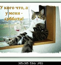 Нажмите на изображение для увеличения
Название: 16473858_247196449068045_255486399884156414_n.jpg
Просмотров: 216
Размер:	52.6 Кб
ID:	86067