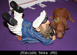 Нажмите на изображение для увеличения
Название: DETI DORA 6.jpg
Просмотров: 215
Размер:	539.6 Кб
ID:	86149