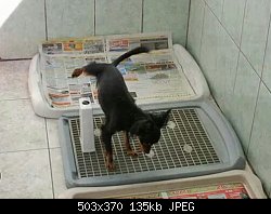 Нажмите на изображение для увеличения
Название: 2017-03-19 18.10.24.jpg
Просмотров: 334
Размер:	135.3 Кб
ID:	86713
