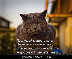 Нажмите на изображение для увеличения
Название: e50e01f80016c91c16e93997a0aa33df.jpg
Просмотров: 241
Размер:	94.5 Кб
ID:	87166
