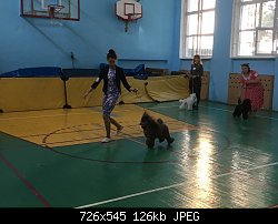 Нажмите на изображение для увеличения
Название: IMG_1358.JPG
Просмотров: 282
Размер:	125.9 Кб
ID:	87781