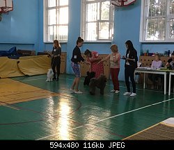 Нажмите на изображение для увеличения
Название: IMG_1365.JPG
Просмотров: 264
Размер:	116.5 Кб
ID:	87782