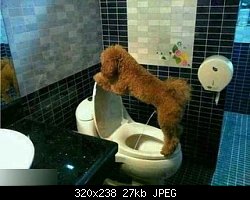 Нажмите на изображение для увеличения
Название: 7bc6574d1297beb48db1740eb88cd17a.jpg
Просмотров: 143
Размер:	27.2 Кб
ID:	88049