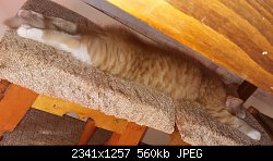 Нажмите на изображение для увеличения
Название: 2017-06-18 17.53.30.jpg
Просмотров: 224
Размер:	560.4 Кб
ID:	88053
