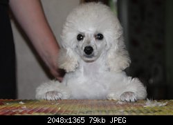Нажмите на изображение для увеличения
Название: received_324569667990564.jpeg
Просмотров: 218
Размер:	79.4 Кб
ID:	88472