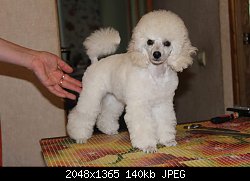 Нажмите на изображение для увеличения
Название: received_324570207990510.jpeg
Просмотров: 195
Размер:	139.9 Кб
ID:	88473