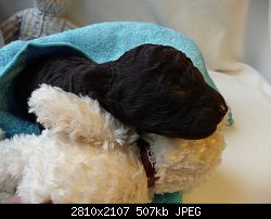 Нажмите на изображение для увеличения
Название: P1040256.jpg
Просмотров: 303
Размер:	506.9 Кб
ID:	89397