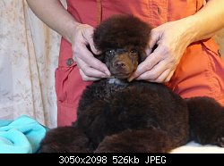Нажмите на изображение для увеличения
Название: P1040408.jpg
Просмотров: 294
Размер:	525.7 Кб
ID:	89414