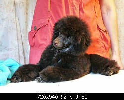 Нажмите на изображение для увеличения
Название: IMG-dfbc7a74ef5d3f1e85cac6f3ccd38644-V.jpg
Просмотров: 308
Размер:	91.9 Кб
ID:	89416