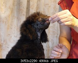 Нажмите на изображение для увеличения
Название: P1040457.jpg
Просмотров: 301
Размер:	489.9 Кб
ID:	89417