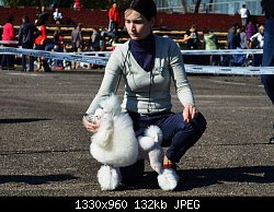 Нажмите на изображение для увеличения
Название: FB_IMG_1513194538763.jpg
Просмотров: 1088
Размер:	131.9 Кб
ID:	89889