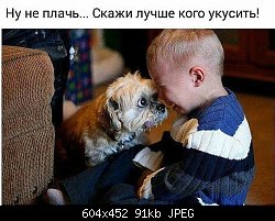 Нажмите на изображение для увеличения
Название: 55664433_n.jpg
Просмотров: 190
Размер:	90.8 Кб
ID:	86855