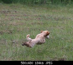 Нажмите на изображение для увеличения
Название: 16.06.08 010.jpg
Просмотров: 402
Размер:	184.4 Кб
ID:	50006