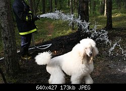 Нажмите на изображение для увеличения
Название: 16.06.08 087.jpg
Просмотров: 427
Размер:	173.0 Кб
ID:	50008