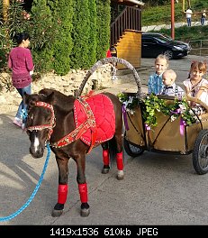 Нажмите на изображение для увеличения
Название: 20170620_183237-1.jpg
Просмотров: 408
Размер:	610.0 Кб
ID:	90238