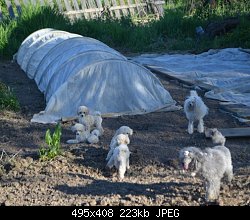 Нажмите на изображение для увеличения
Название: DSC_0874.JPG
Просмотров: 222
Размер:	222.8 Кб
ID:	83095