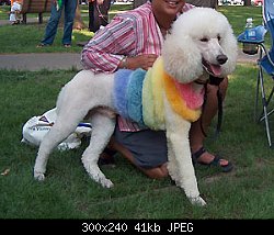 Нажмите на изображение для увеличения
Название: bamper-jokerpride2005.jpg
Просмотров: 1667
Размер:	41.0 Кб
ID:	23989