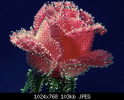 Нажмите на изображение для увеличения
Название: flowers_030.jpg
Просмотров: 280
Размер:	103.0 Кб
ID:	29086