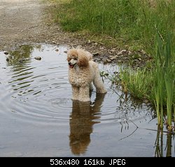 Нажмите на изображение для увеличения
Название: 2008 1 281.jpg
Просмотров: 459
Размер:	161.4 Кб
ID:	49851