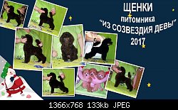 Нажмите на изображение для увеличения
Название: collage_photocat.jpg
Просмотров: 137
Размер:	133.1 Кб
ID:	89882