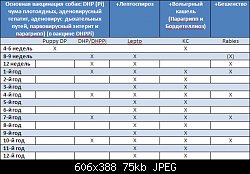 Нажмите на изображение для увеличения
Название: Схема прививки.jpg
Просмотров: 223
Размер:	75.1 Кб
ID:	75144