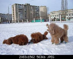 Нажмите на изображение для увеличения
Название: Нам морозы не страшны 015.jpg
Просмотров: 355
Размер:	563.1 Кб
ID:	72000