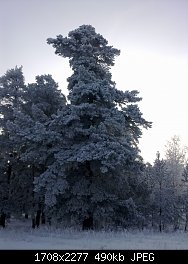 Нажмите на изображение для увеличения
Название: 11012013457.jpg
Просмотров: 388
Размер:	489.8 Кб
ID:	66935